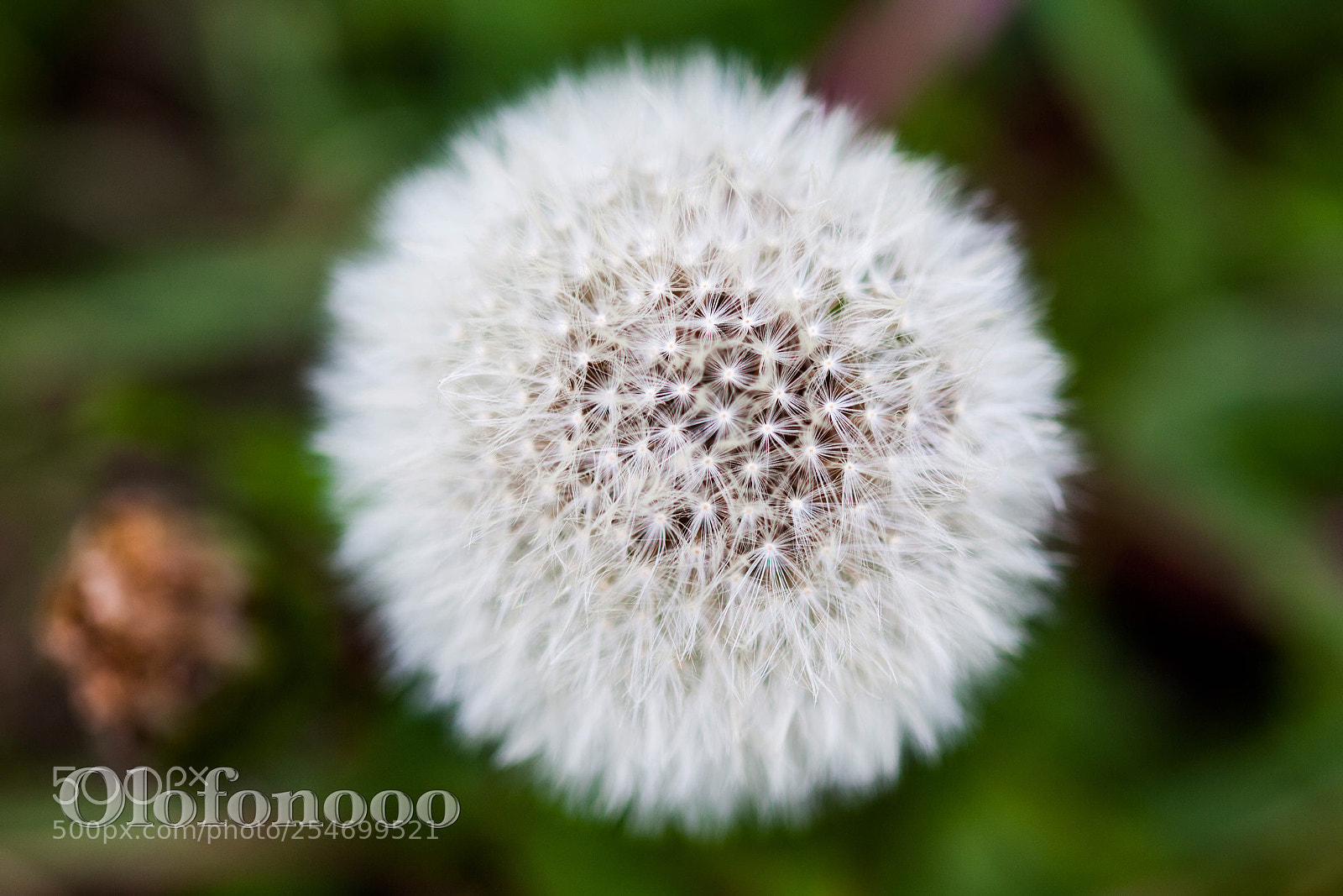 Canon EOS 5D Mark II sample photo. What's the time? photography