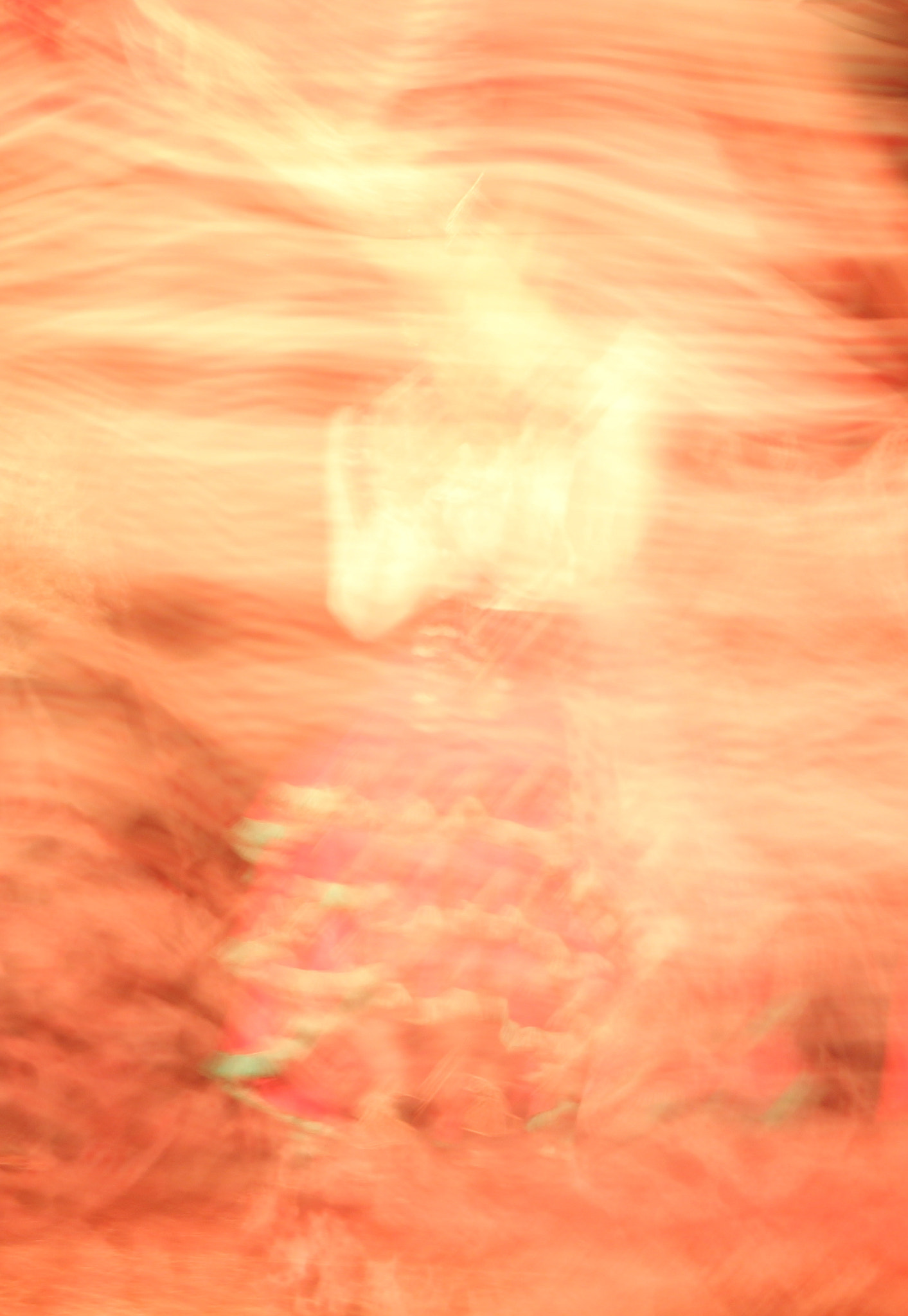 Canon EOS 60D sample photo. The fire of flamenco 5 photography