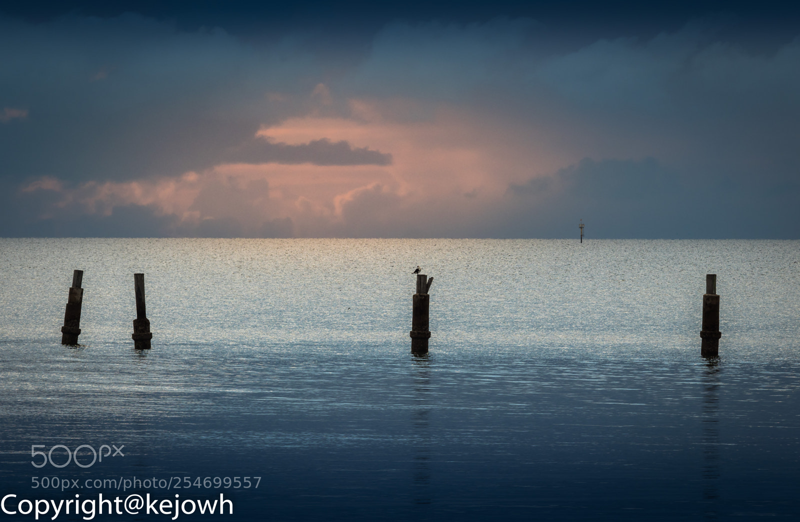 Olympus OM-D E-M1 Mark II sample photo. Blue poles photography