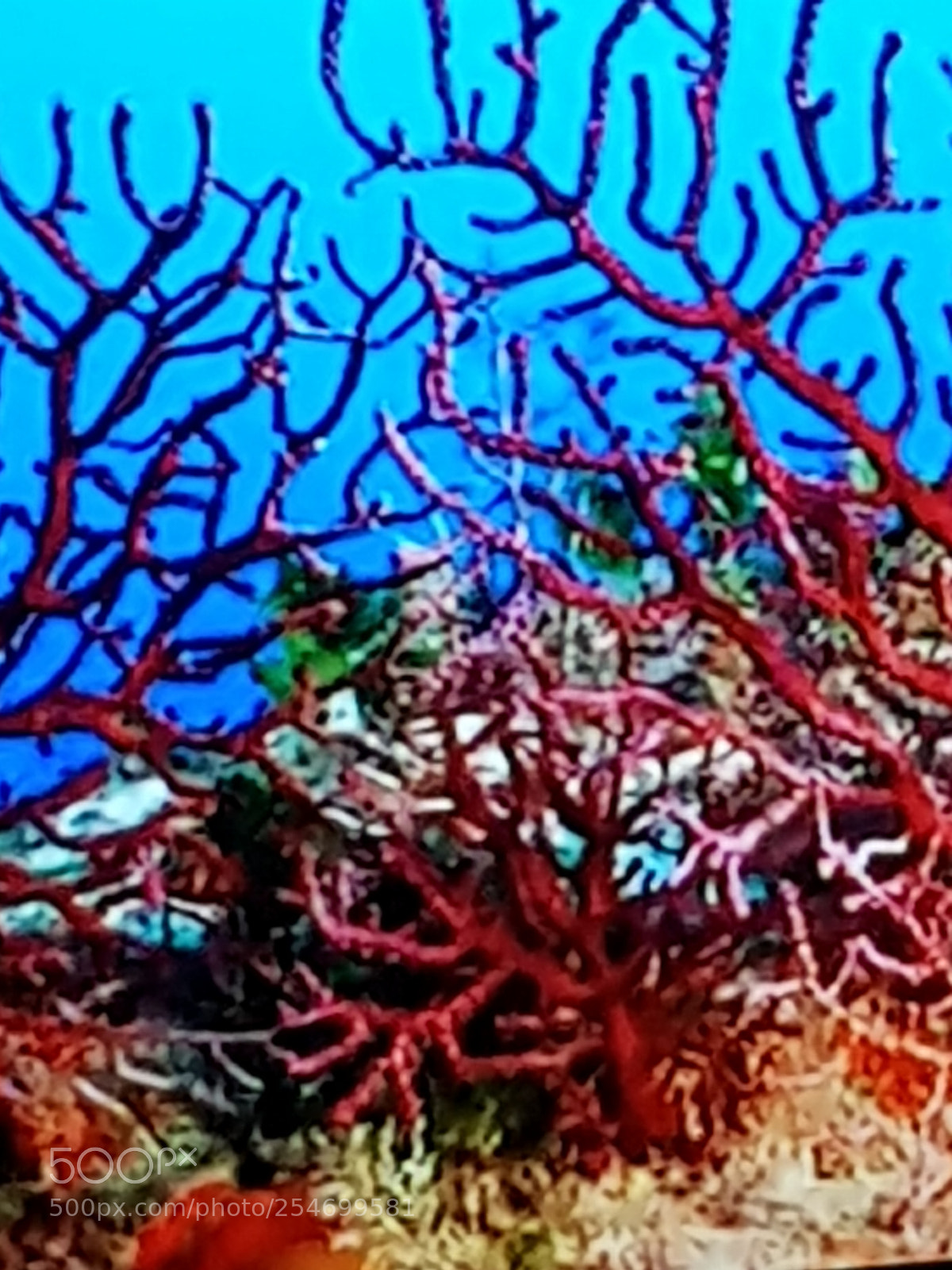 Samsung Galaxy S8 sample photo. Untitled photography