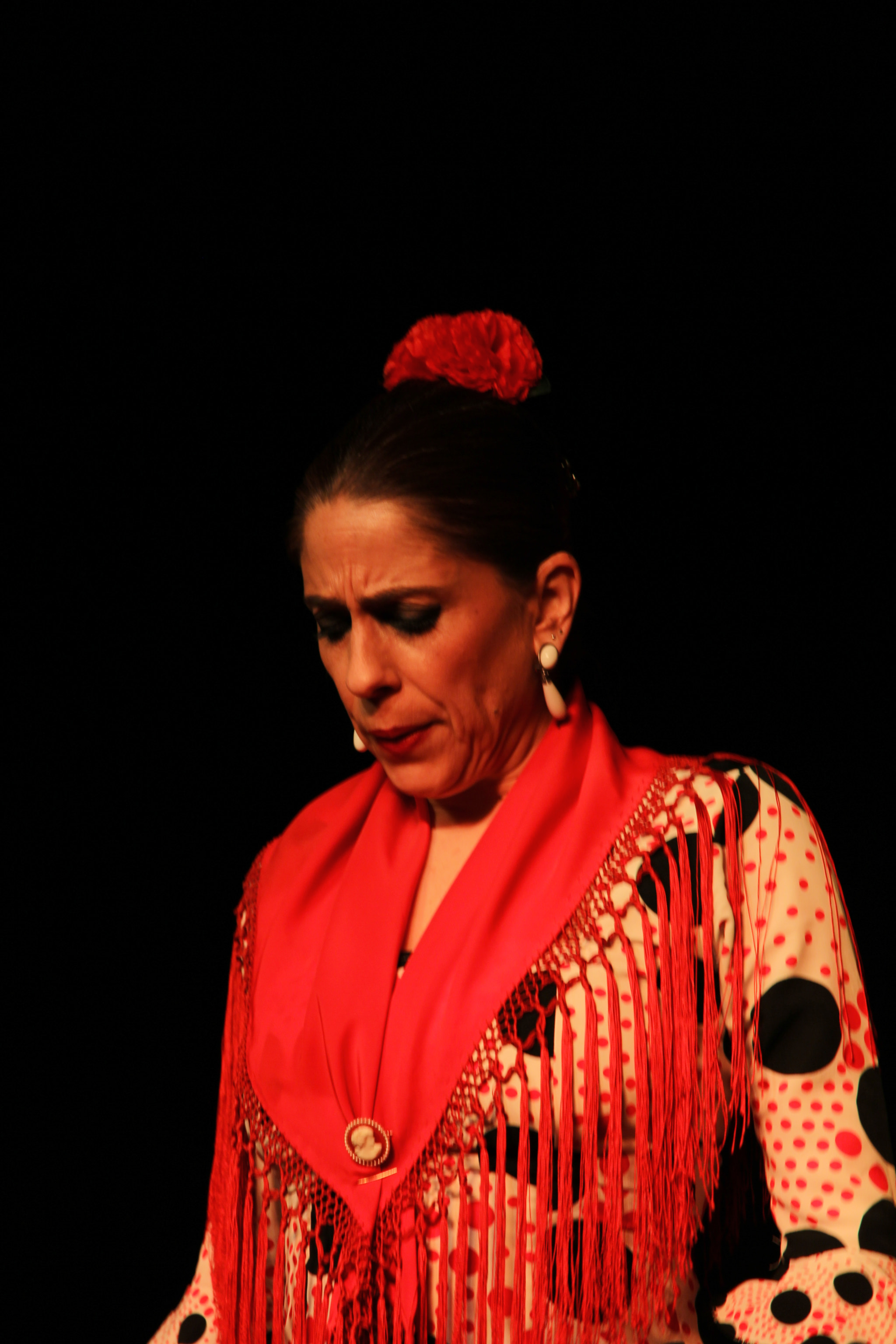 Canon EOS 60D sample photo. The fire of flamenco 1 photography