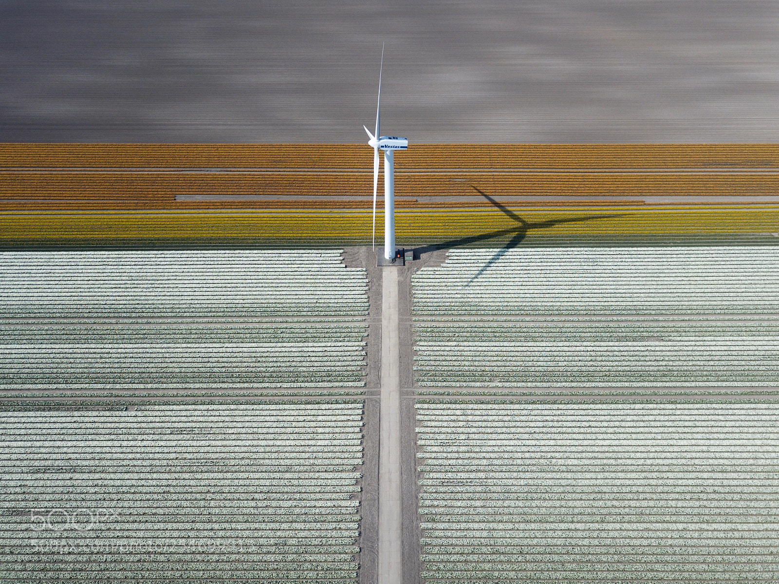 DJI FC220 sample photo. Tulpen photography