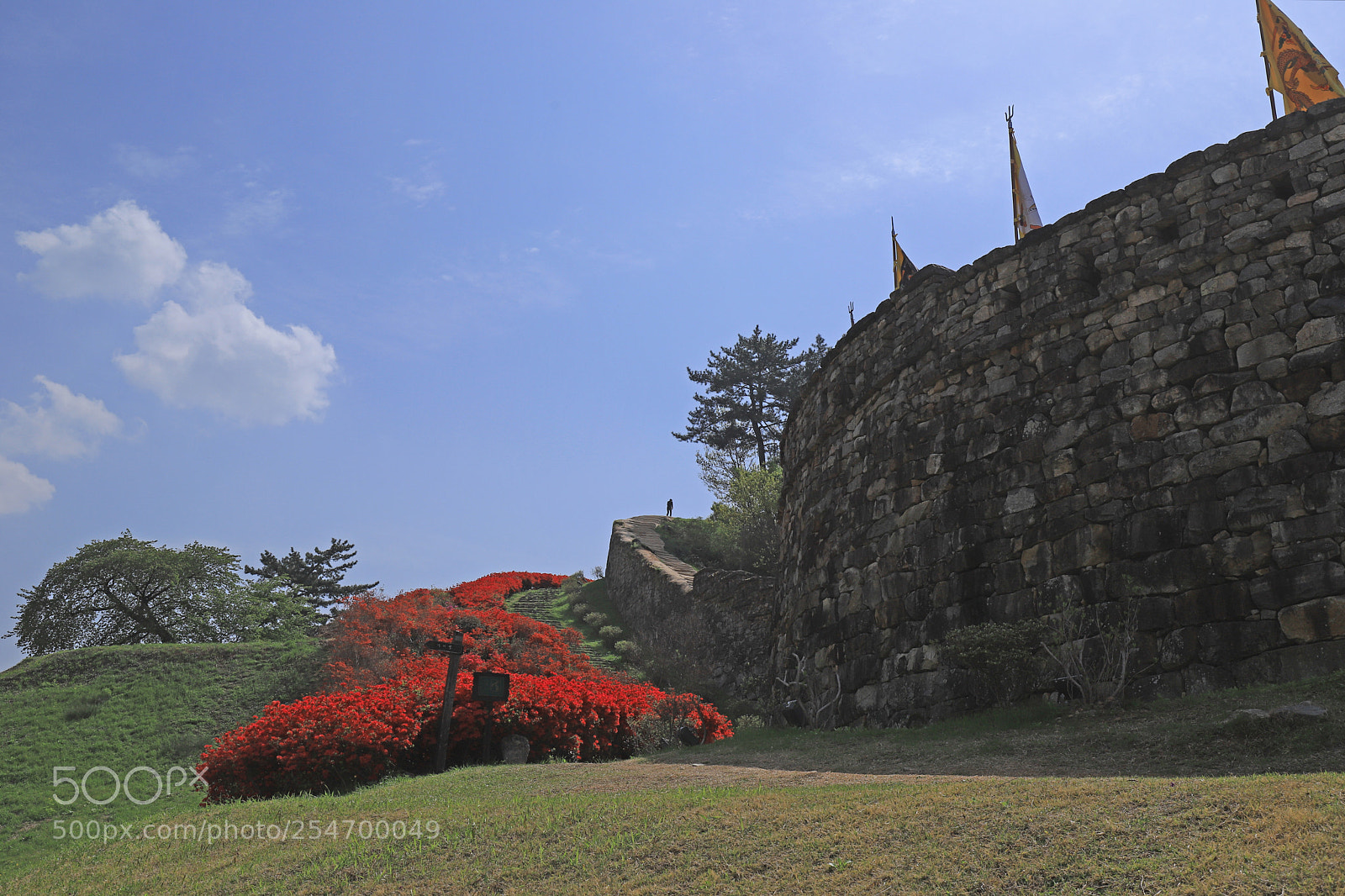 Canon EOS 6D Mark II sample photo. Castle photography
