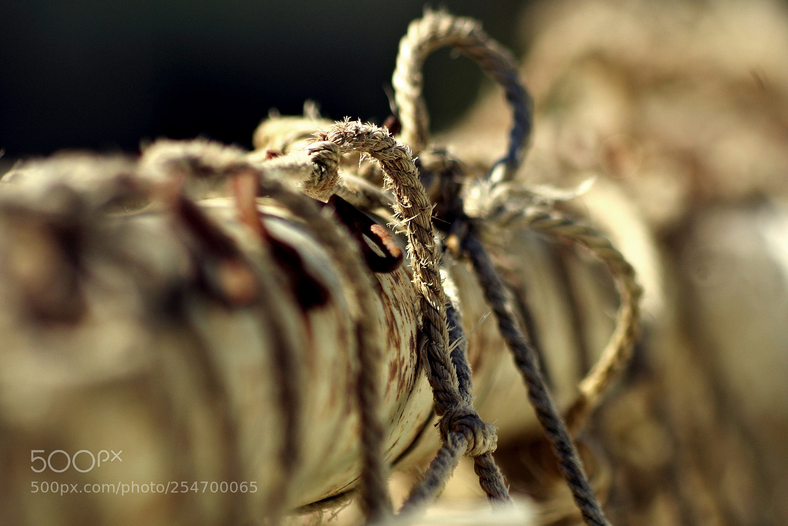 Pentax K-50 sample photo. Rope photography
