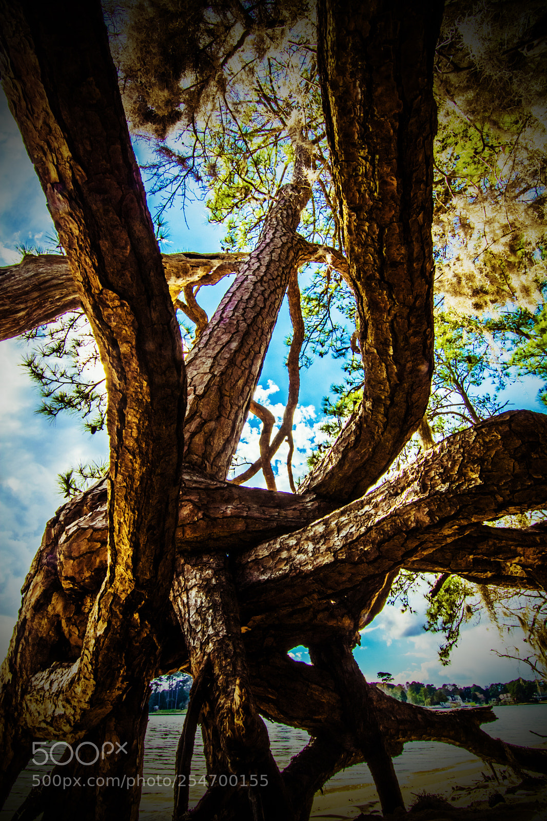 Nikon D7100 sample photo. Down under photography