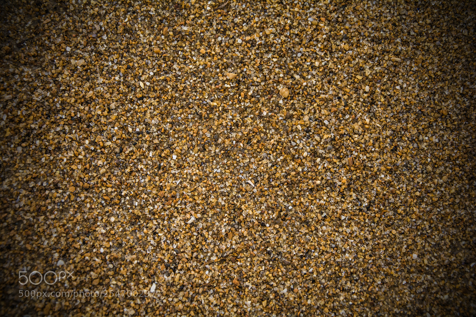 Nikon D7100 sample photo. Up close photography