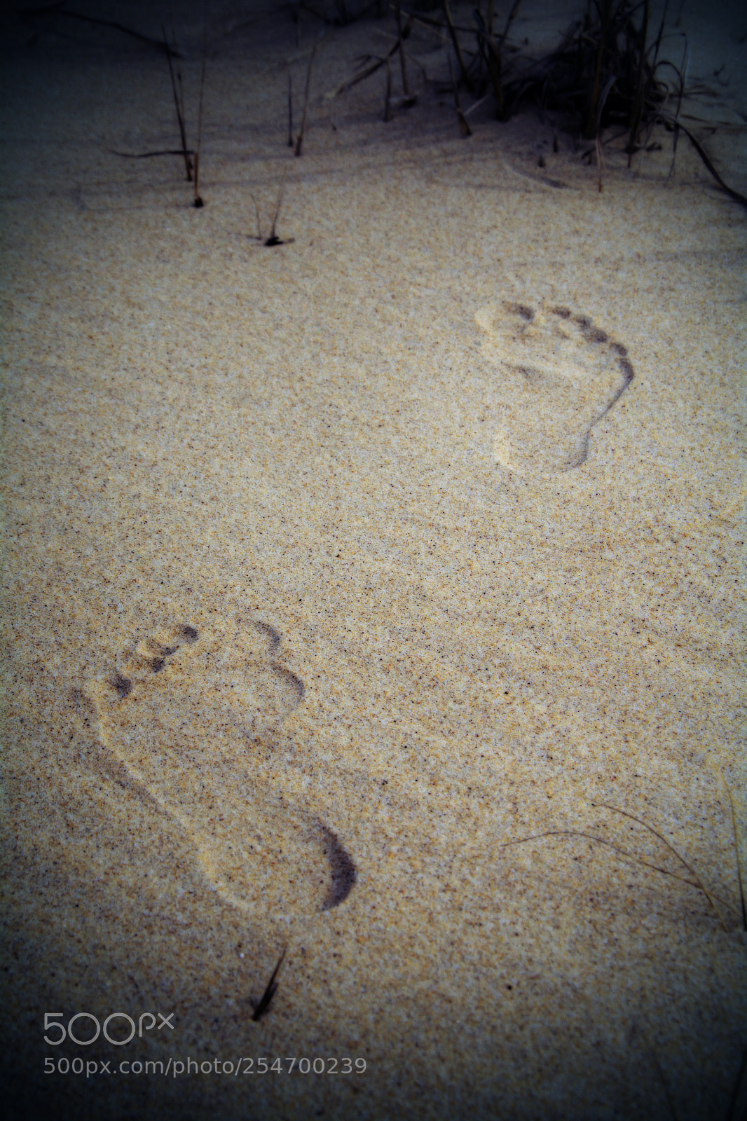 Nikon D7100 sample photo. Follow photography