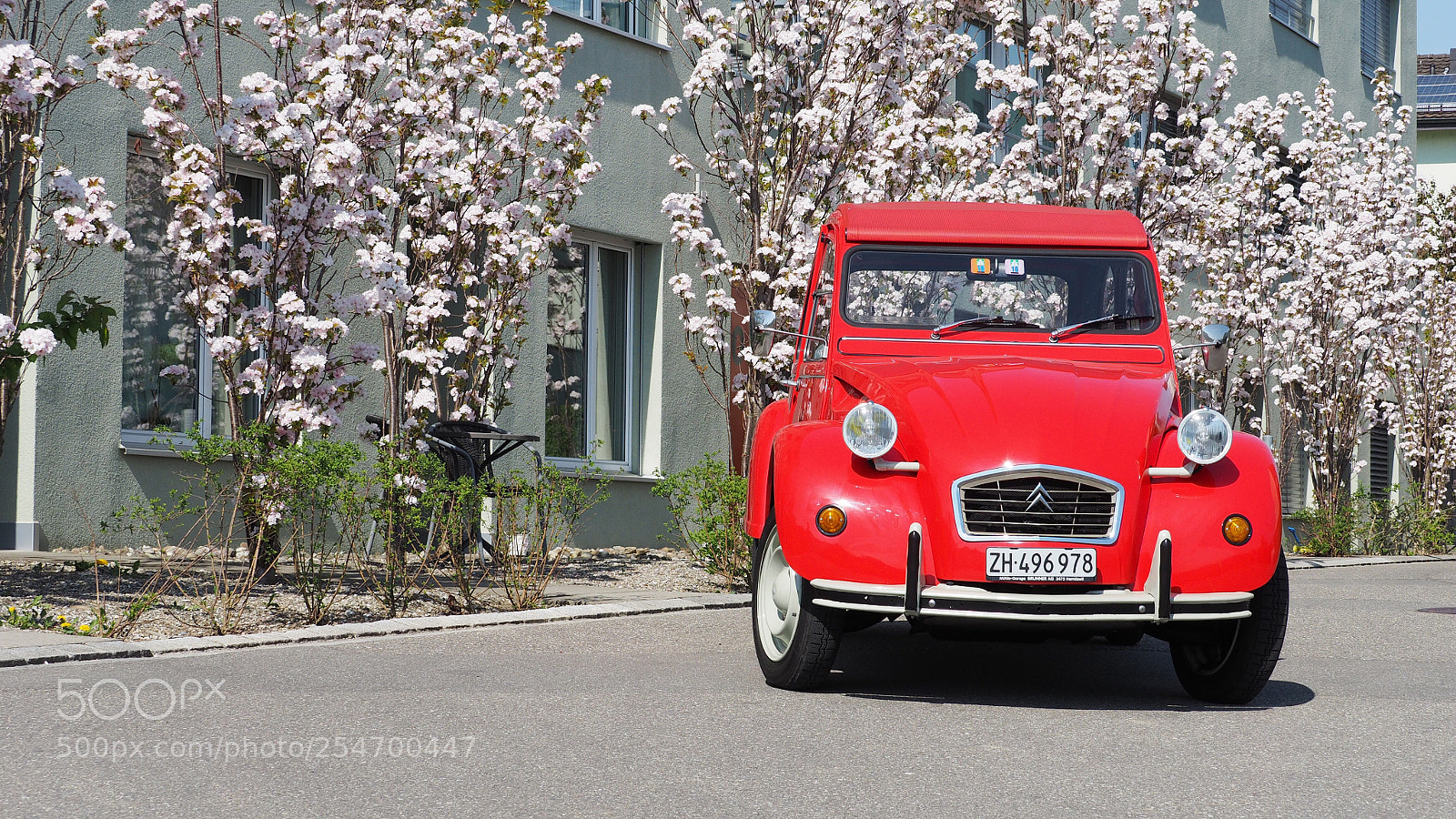 Olympus OM-D E-M1 sample photo. Blossom red car photography