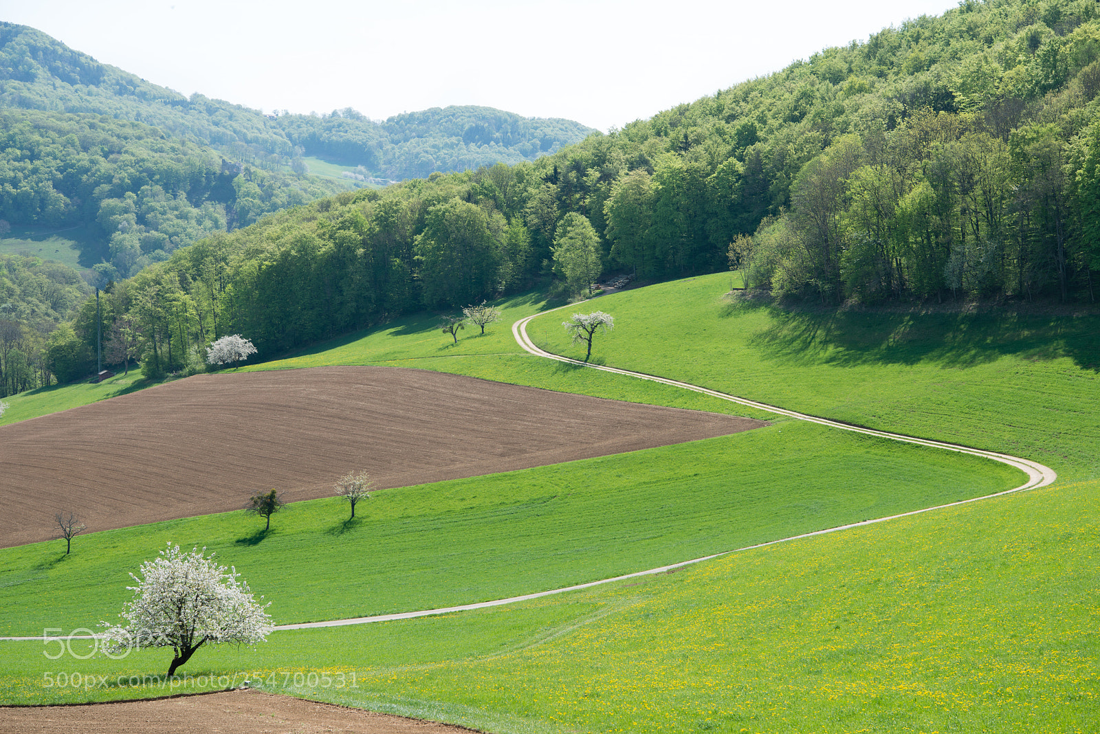 Nikon D800 sample photo. Frühling photography