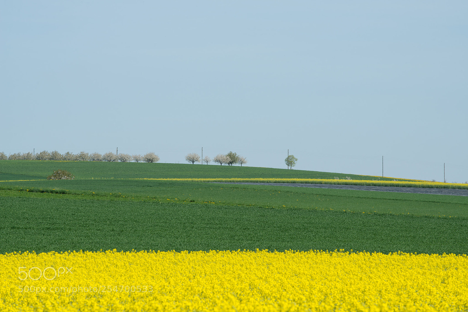 Nikon D800 sample photo. Frühling photography