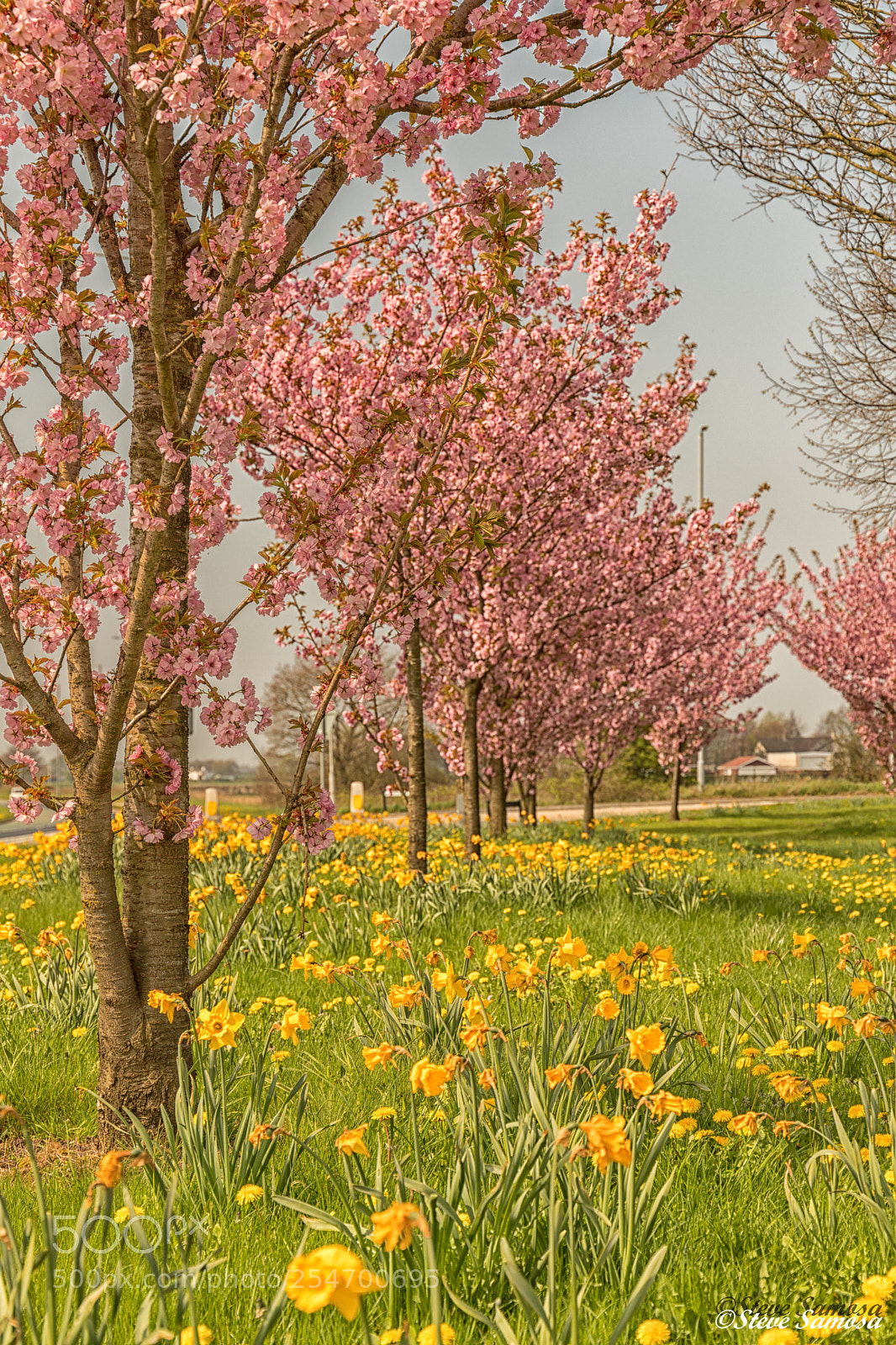 Canon EOS 6D Mark II sample photo. Springtime  photography