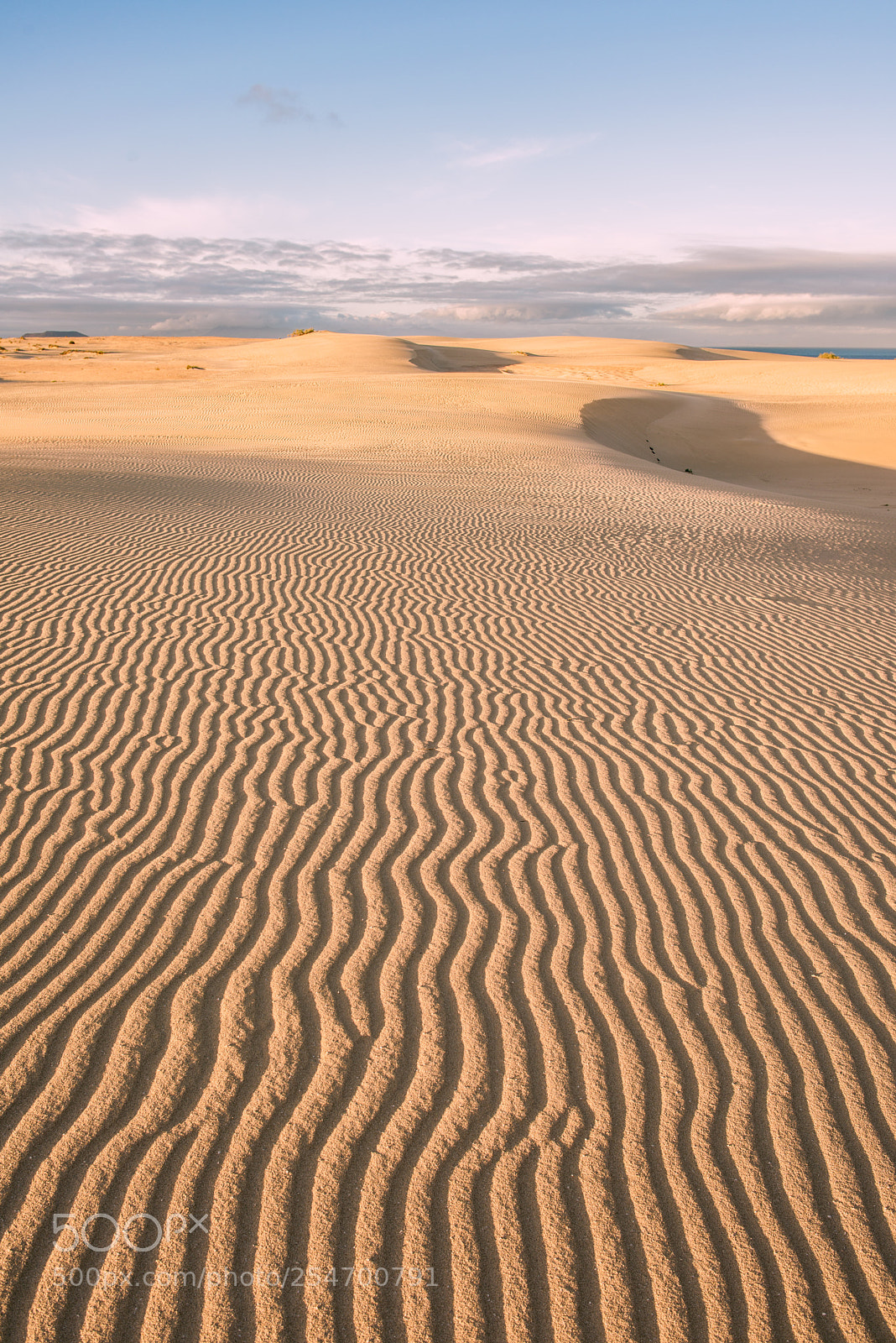Nikon D800 sample photo. Ripples photography