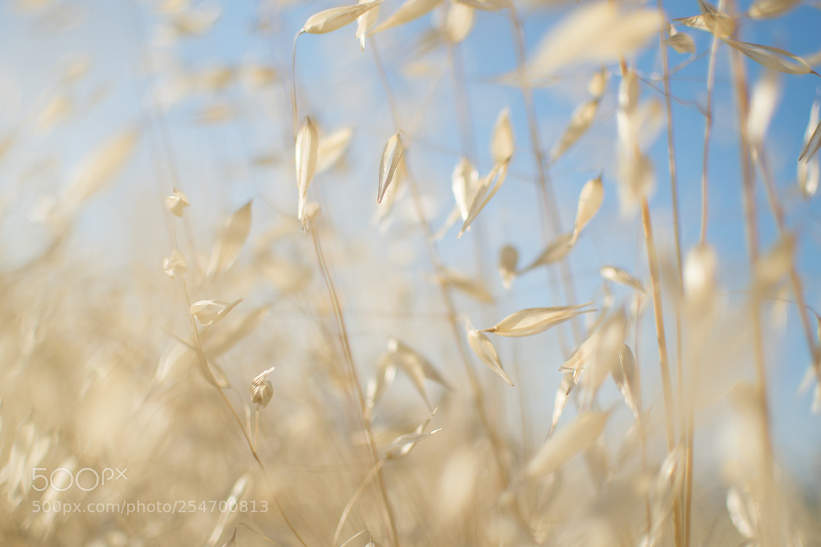 Nikon D5300 sample photo. 01.jpg photography