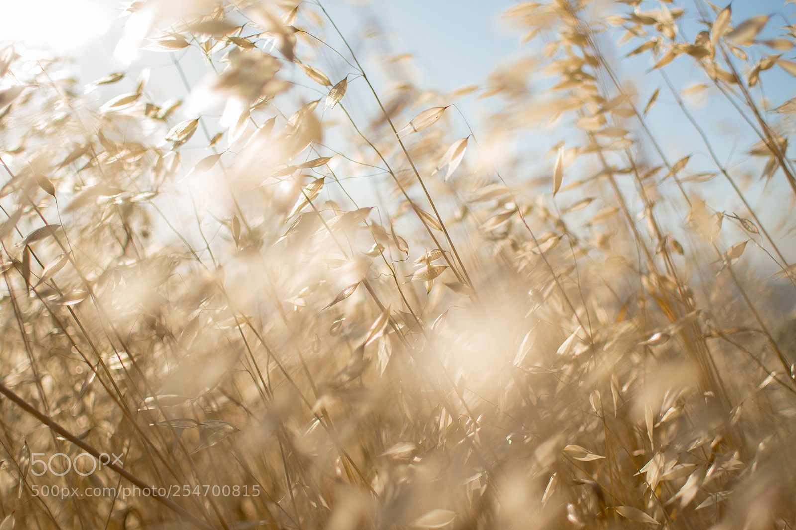 Nikon D5300 sample photo. 02.jpg photography