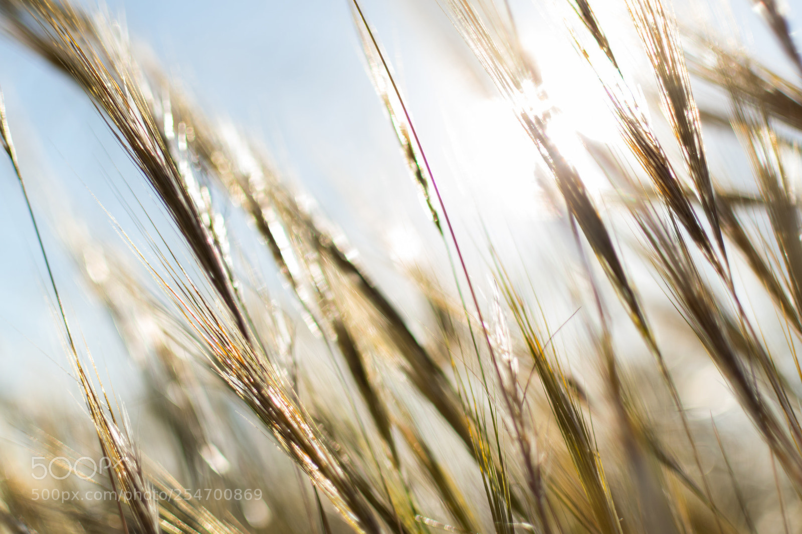 Nikon D5300 sample photo. 03.jpg photography