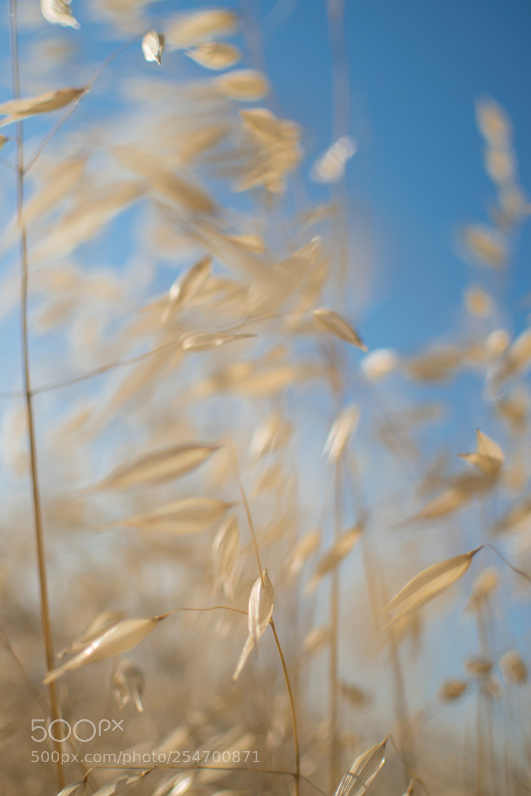 Nikon D5300 sample photo. 04.jpg photography