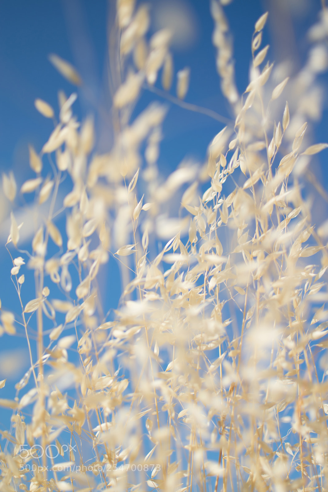 Nikon D5300 sample photo. 05.jpg photography