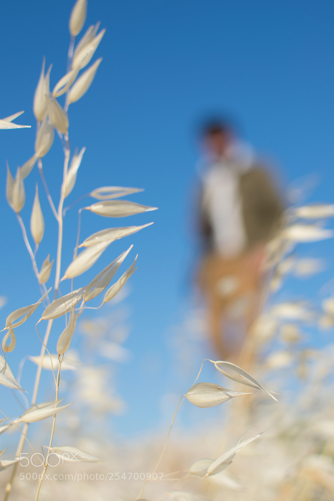Nikon D5300 sample photo. 06.jpg photography
