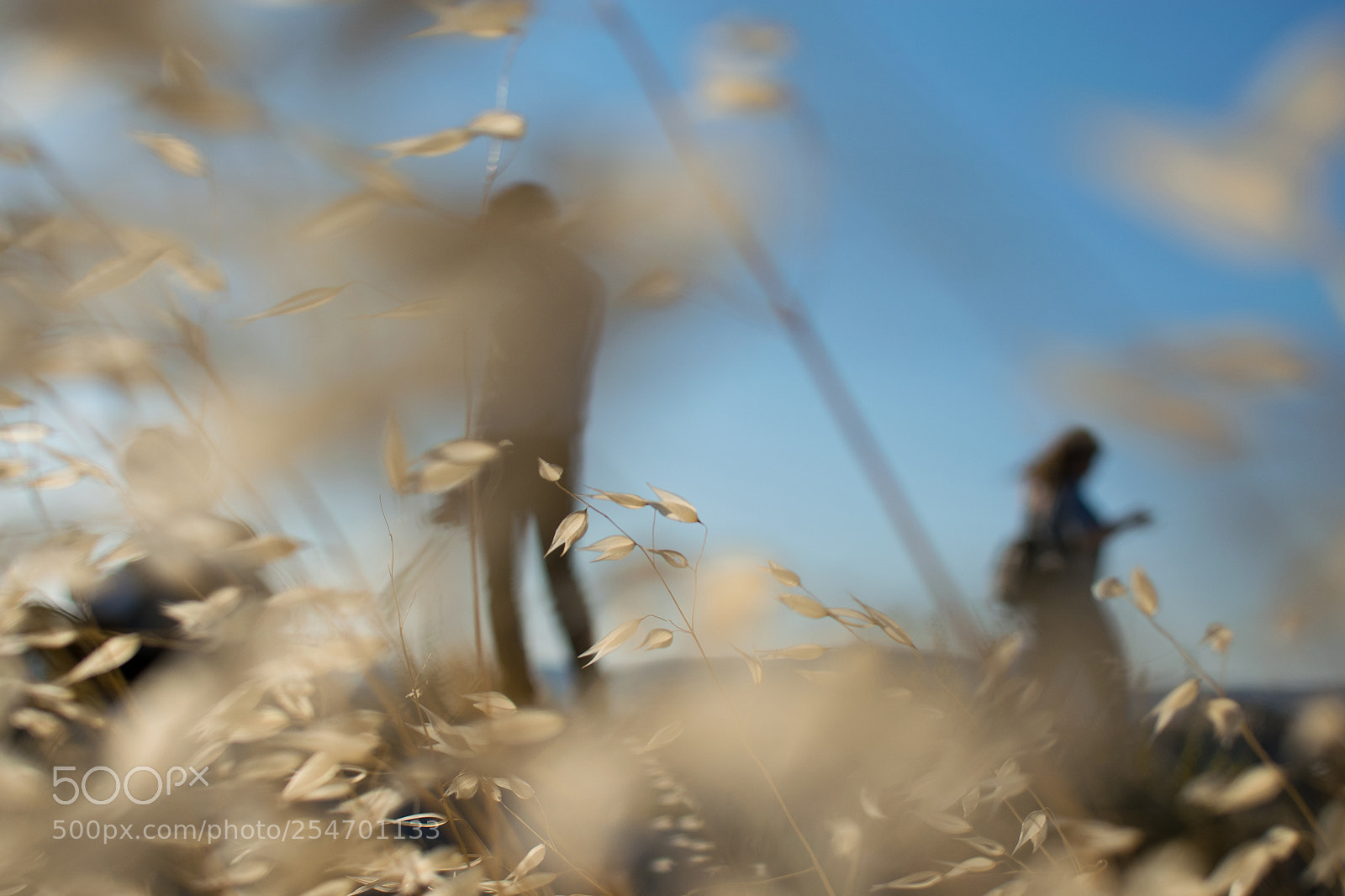 Nikon D5300 sample photo. 07.jpg photography