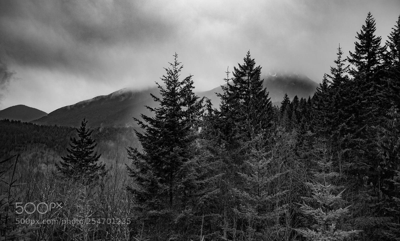 Canon EOS 5D Mark IV sample photo. Port angeles & beyond photography