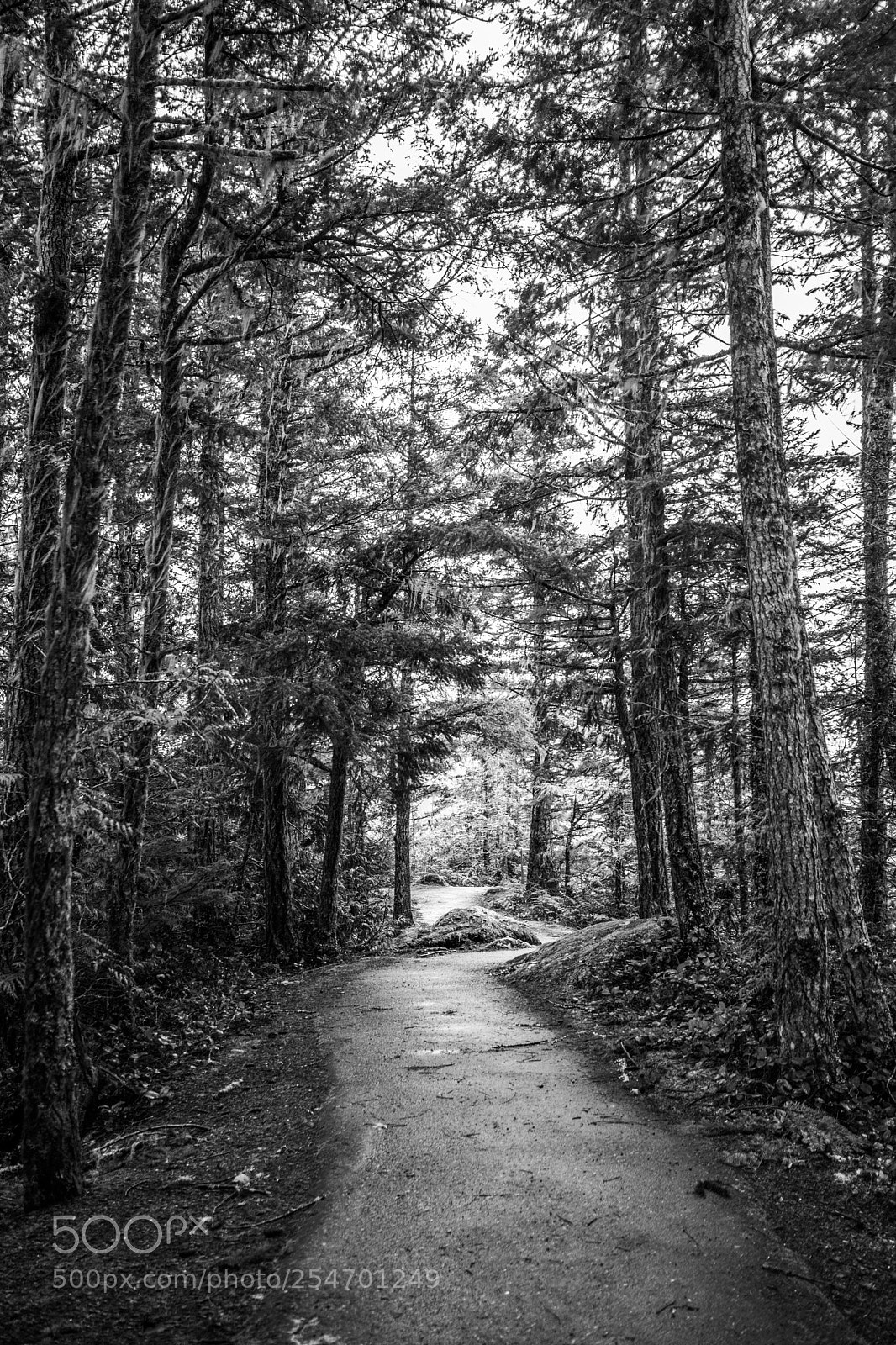 Canon EOS 5D Mark IV sample photo. Port angeles & beyond photography