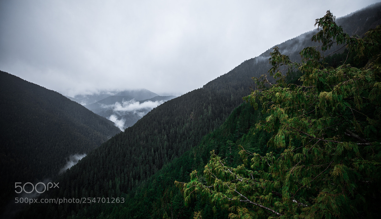 Canon EOS 5D Mark IV sample photo. Port angeles & beyond photography