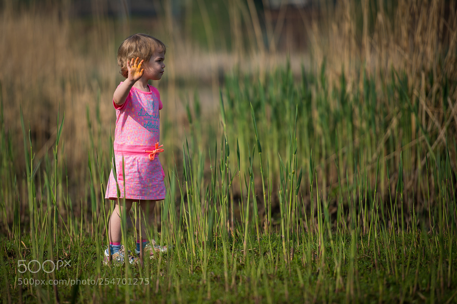 Nikon D4S sample photo. Fotoshoot child photography