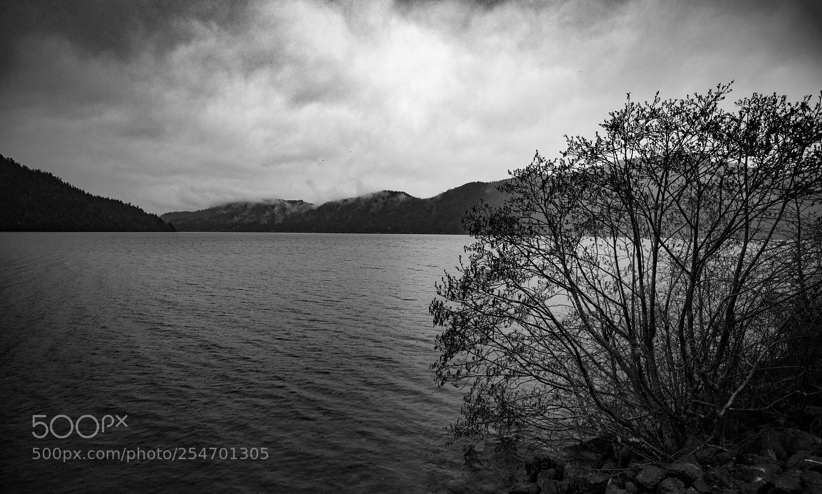 Canon EOS 5D Mark IV sample photo. Port angeles & beyond photography