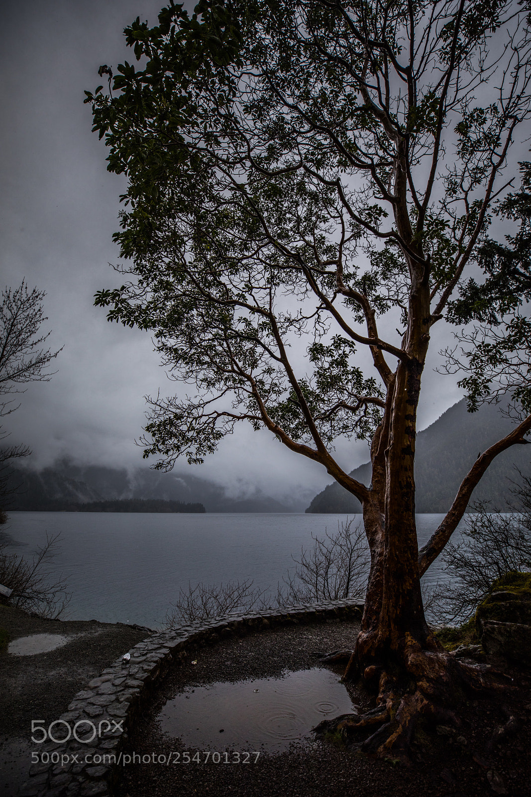 Canon EOS 5D Mark IV sample photo. Port angeles & beyond photography