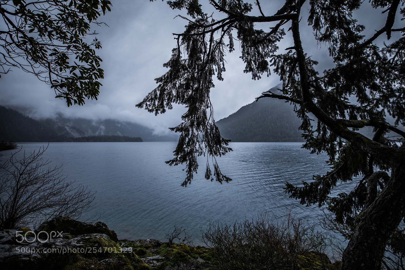 Canon EOS 5D Mark IV sample photo. Port angeles & beyond photography