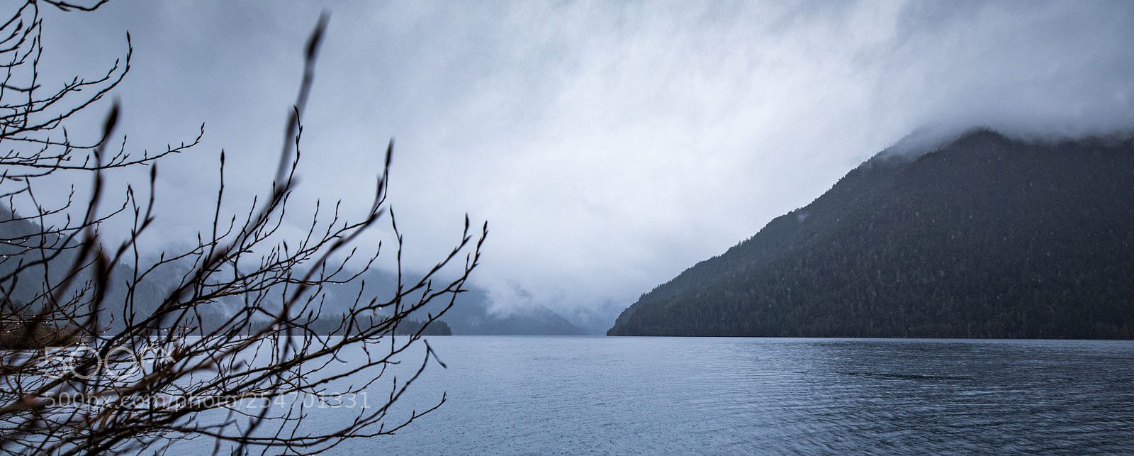 Canon EOS 5D Mark IV sample photo. Port angeles & beyond photography