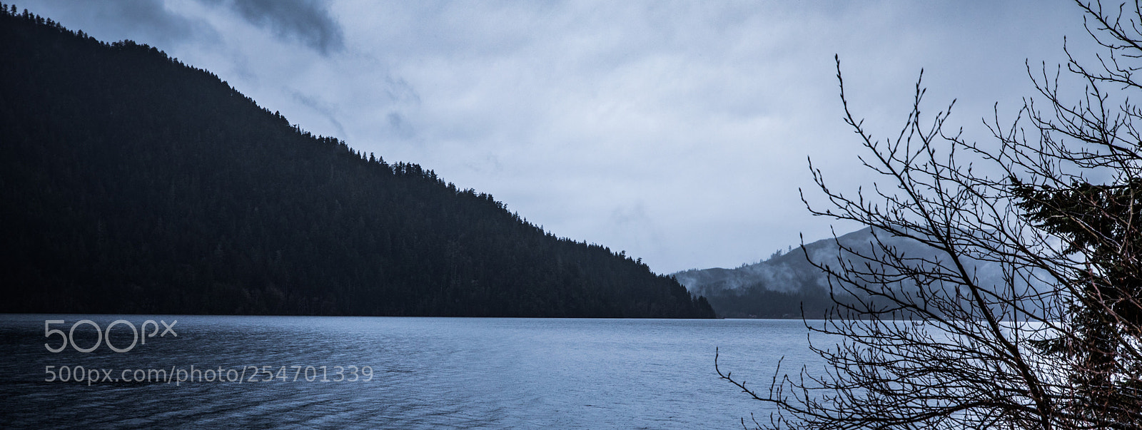Canon EOS 5D Mark IV sample photo. Port angeles & beyond photography