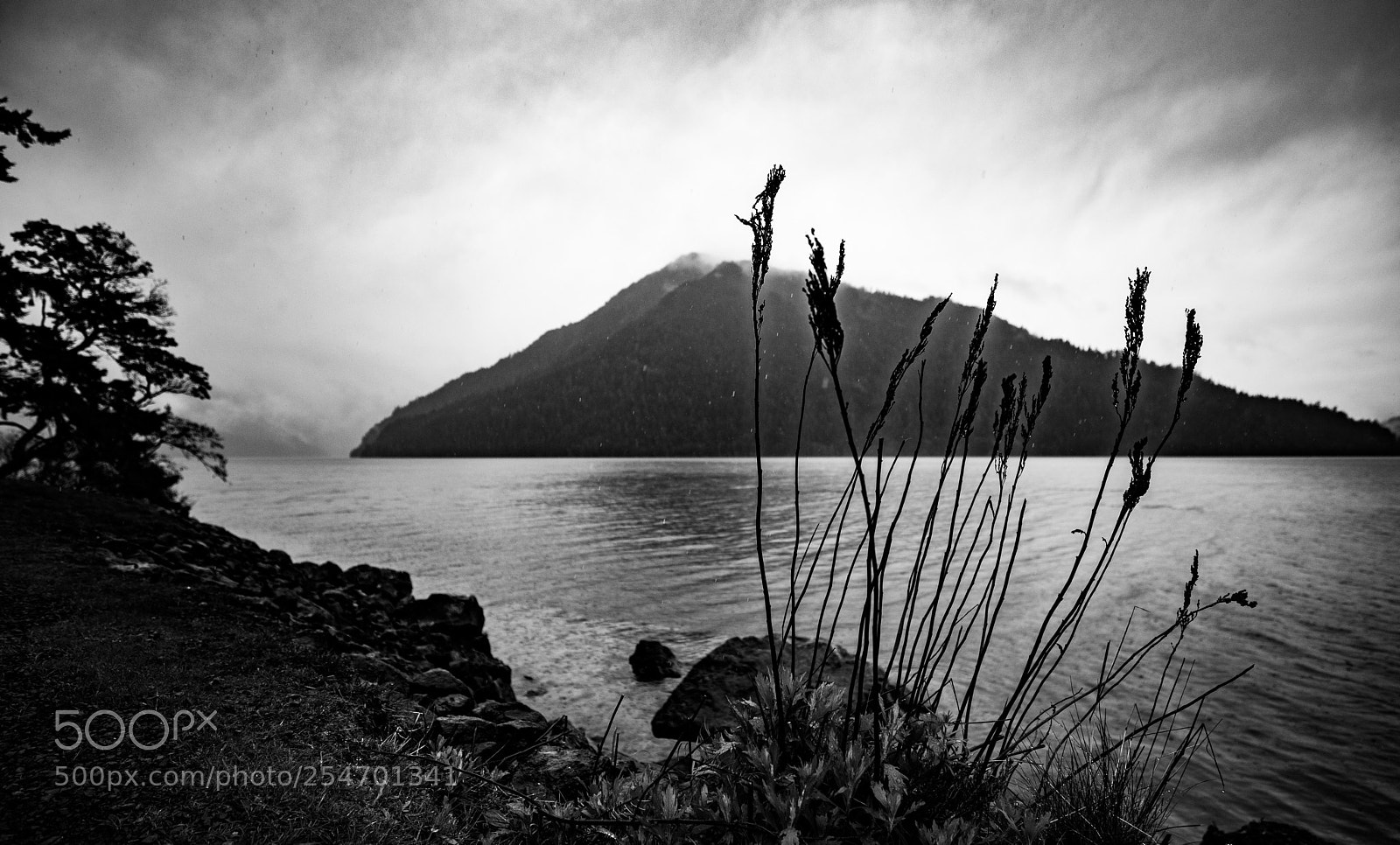 Canon EOS 5D Mark IV sample photo. Port angeles & beyond photography
