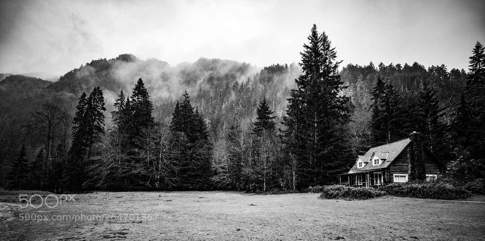 Canon EOS 5D Mark IV sample photo. Port angeles & beyond photography