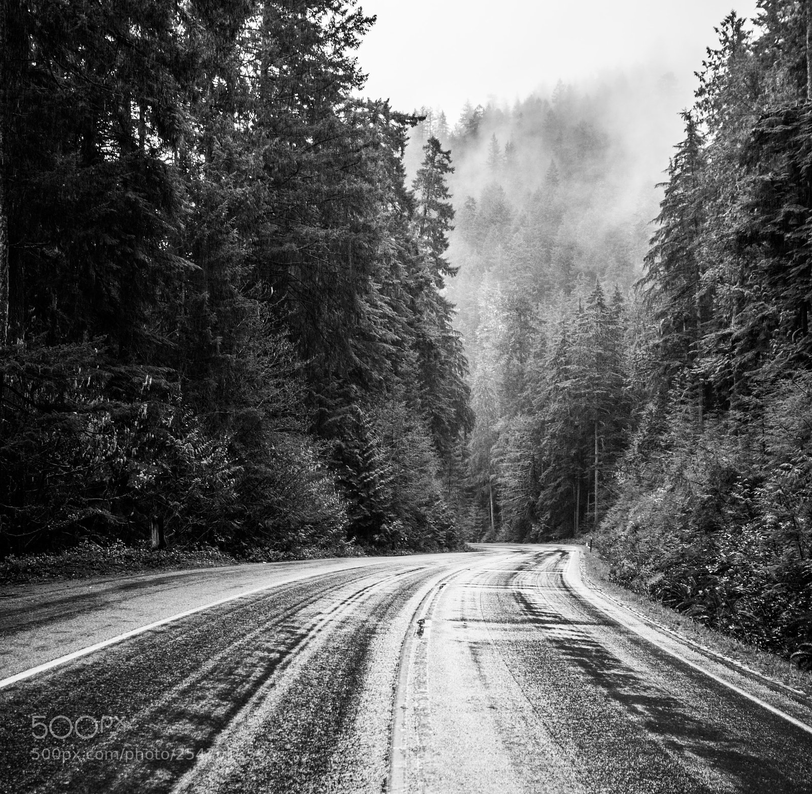 Canon EOS 5D Mark IV sample photo. Port angeles & beyond photography