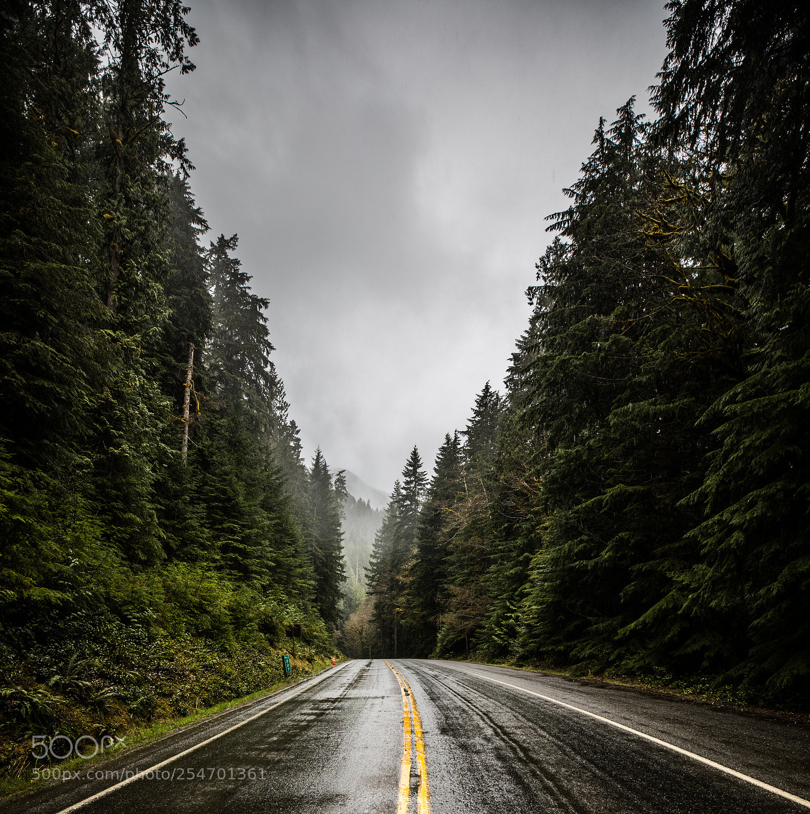Canon EOS 5D Mark IV sample photo. Port angeles & beyond photography