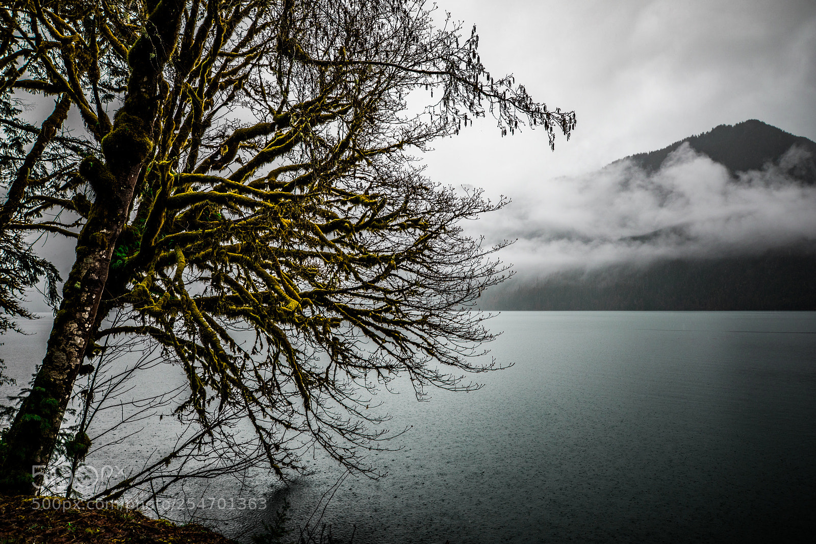 Canon EOS 5D Mark IV sample photo. Port angeles & beyond photography