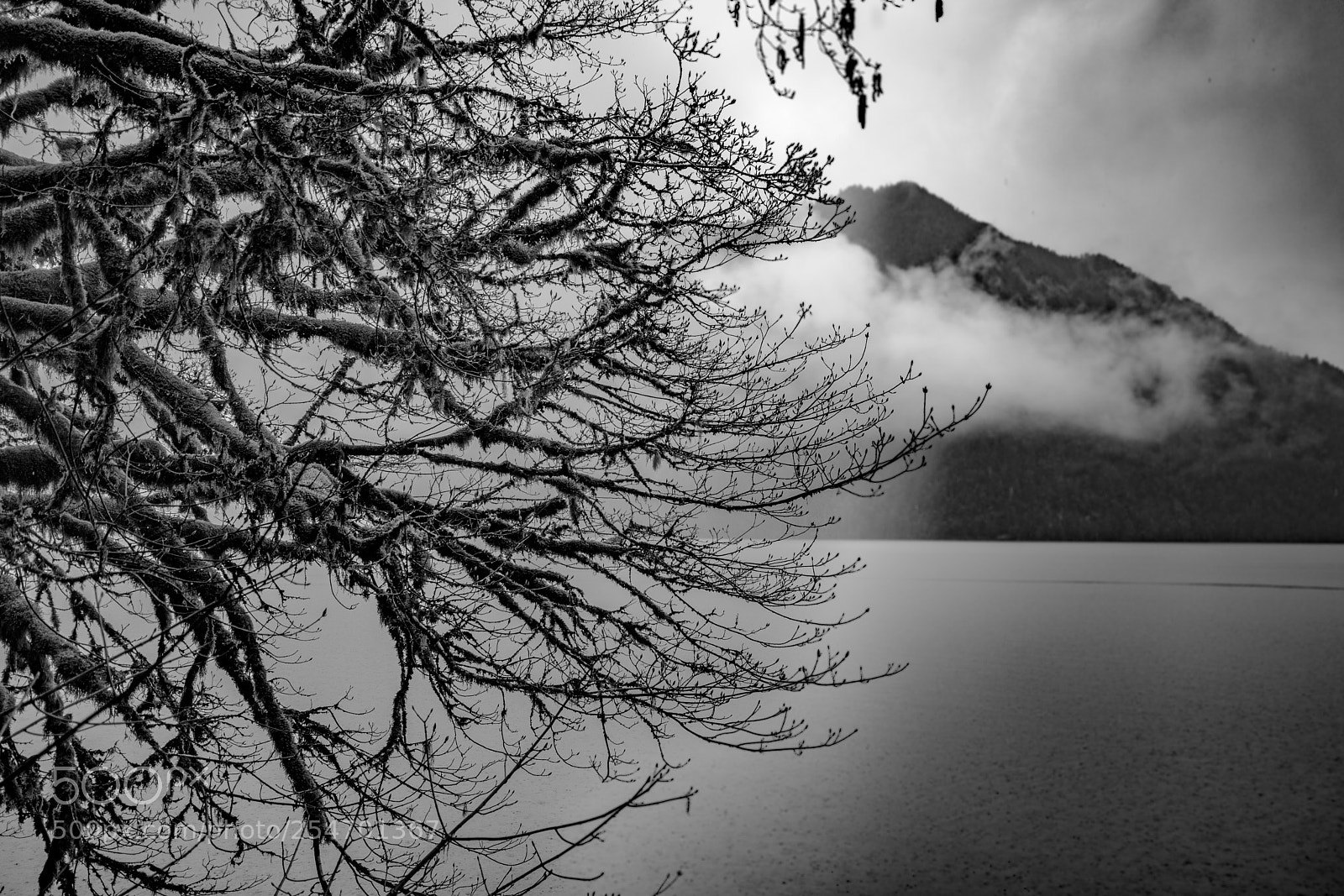 Canon EOS 5D Mark IV sample photo. Port angeles & beyond photography