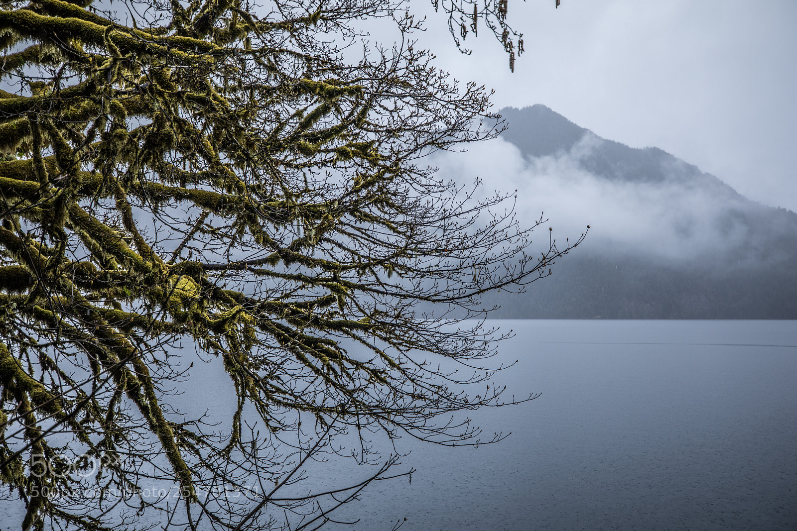 Canon EOS 5D Mark IV sample photo. Port angeles & beyond photography