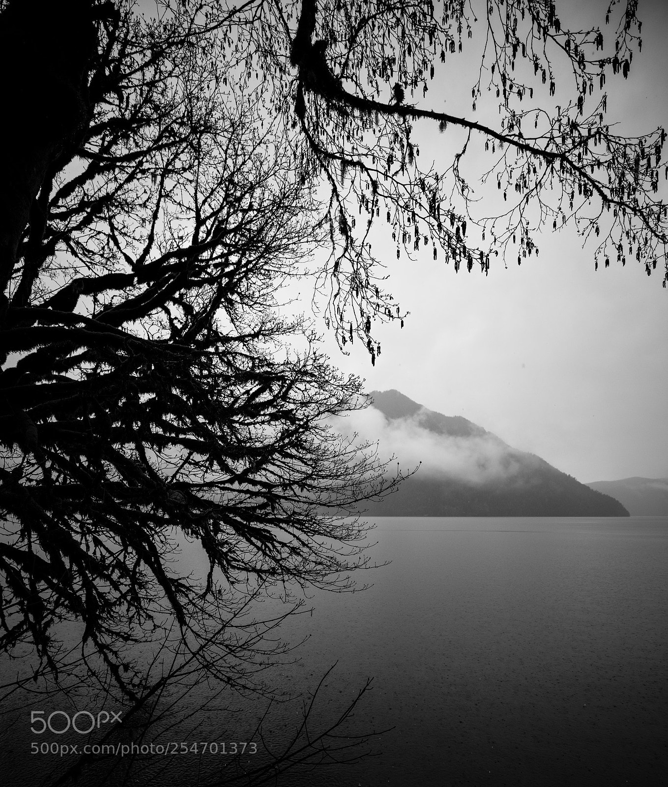 Canon EOS 5D Mark IV sample photo. Port angeles & beyond photography