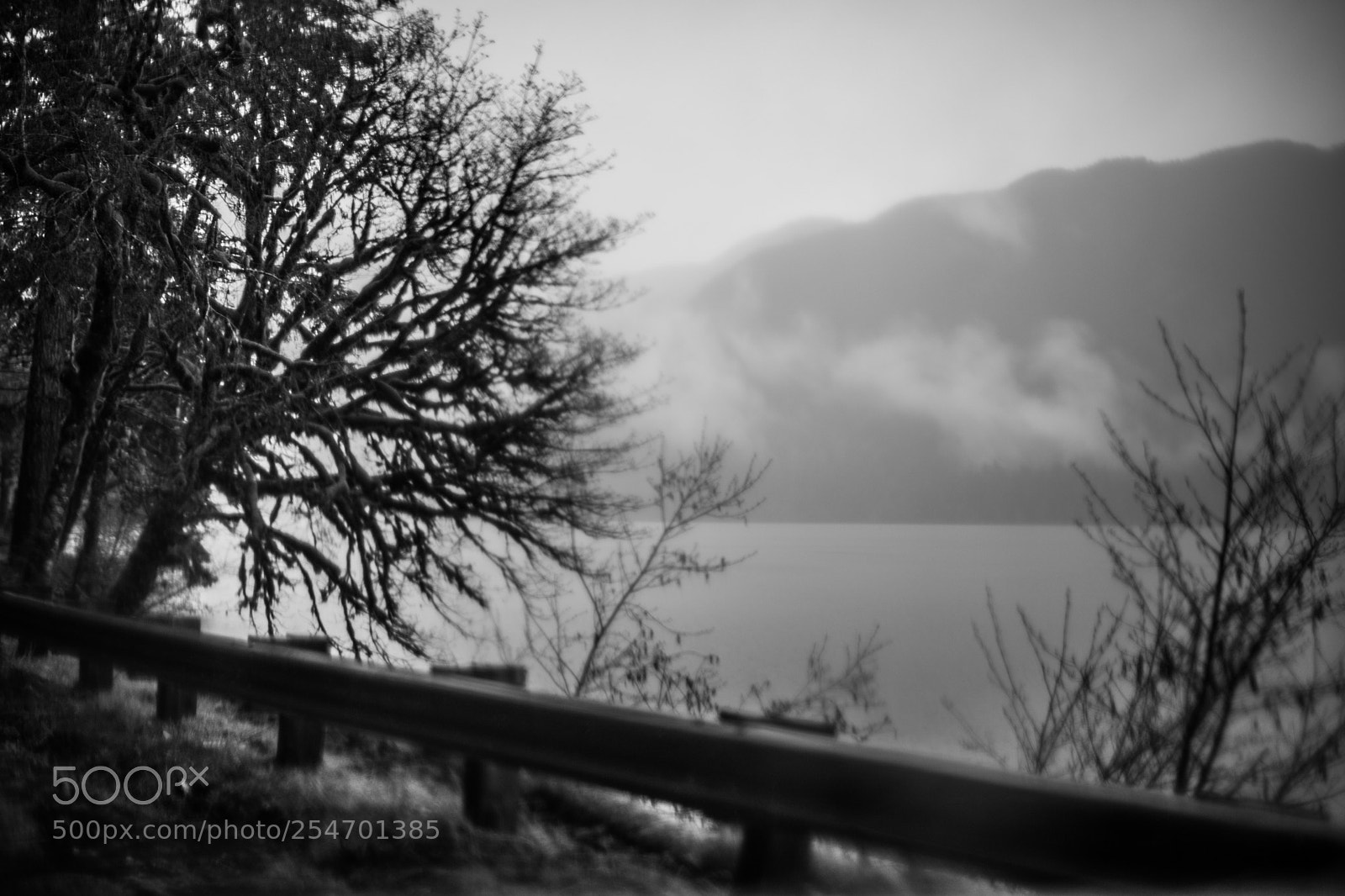 Canon EOS 5D Mark IV sample photo. Port angeles & beyond photography