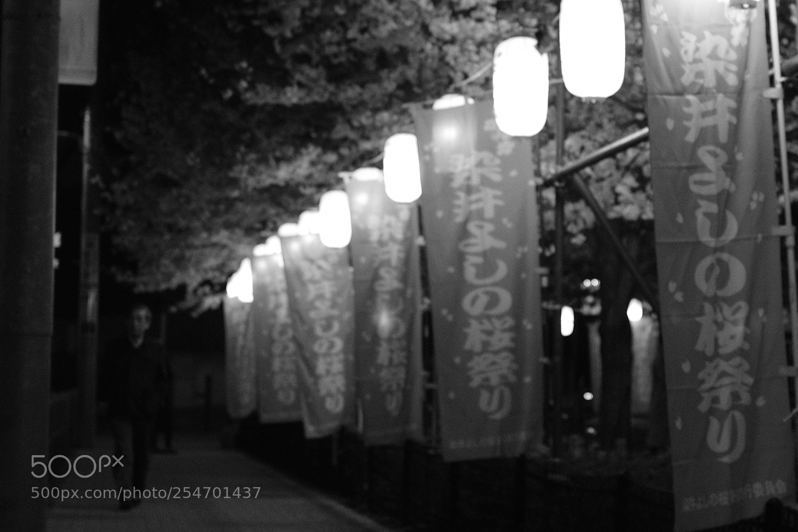 Fujifilm X100F sample photo. Sakura photography