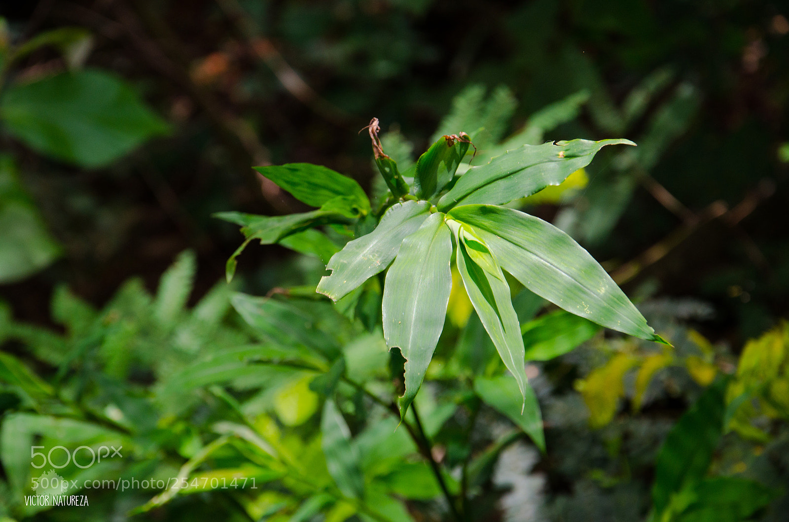 Nikon D7000 sample photo. Untitled photography