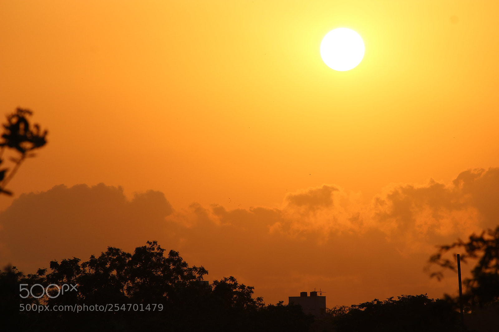 Canon EF-S 55-250mm F4-5.6 IS II sample photo. Sun rise photography