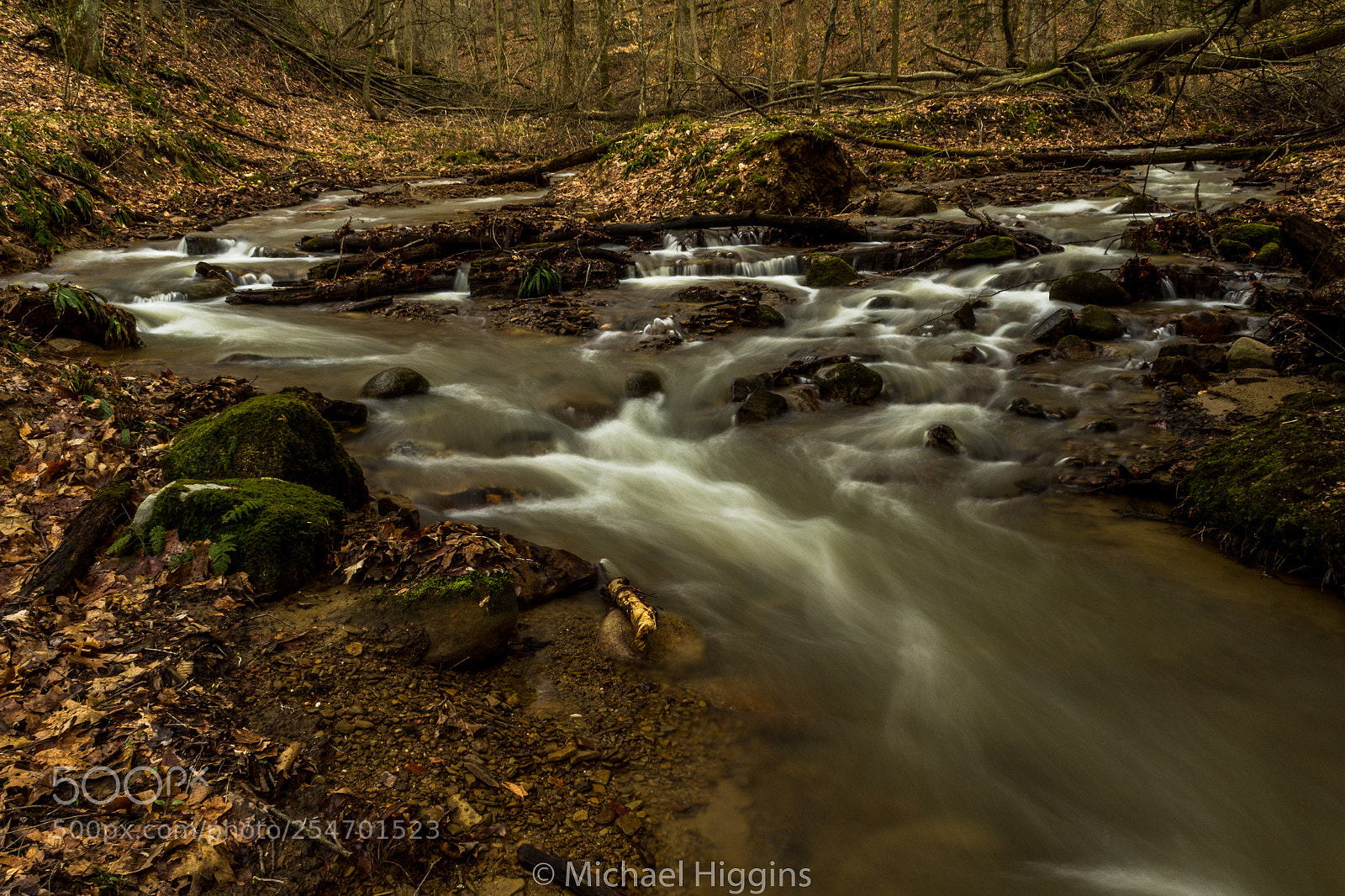 Canon EOS 1200D (EOS Rebel T5 / EOS Kiss X70 / EOS Hi) sample photo. Woodland stream photography