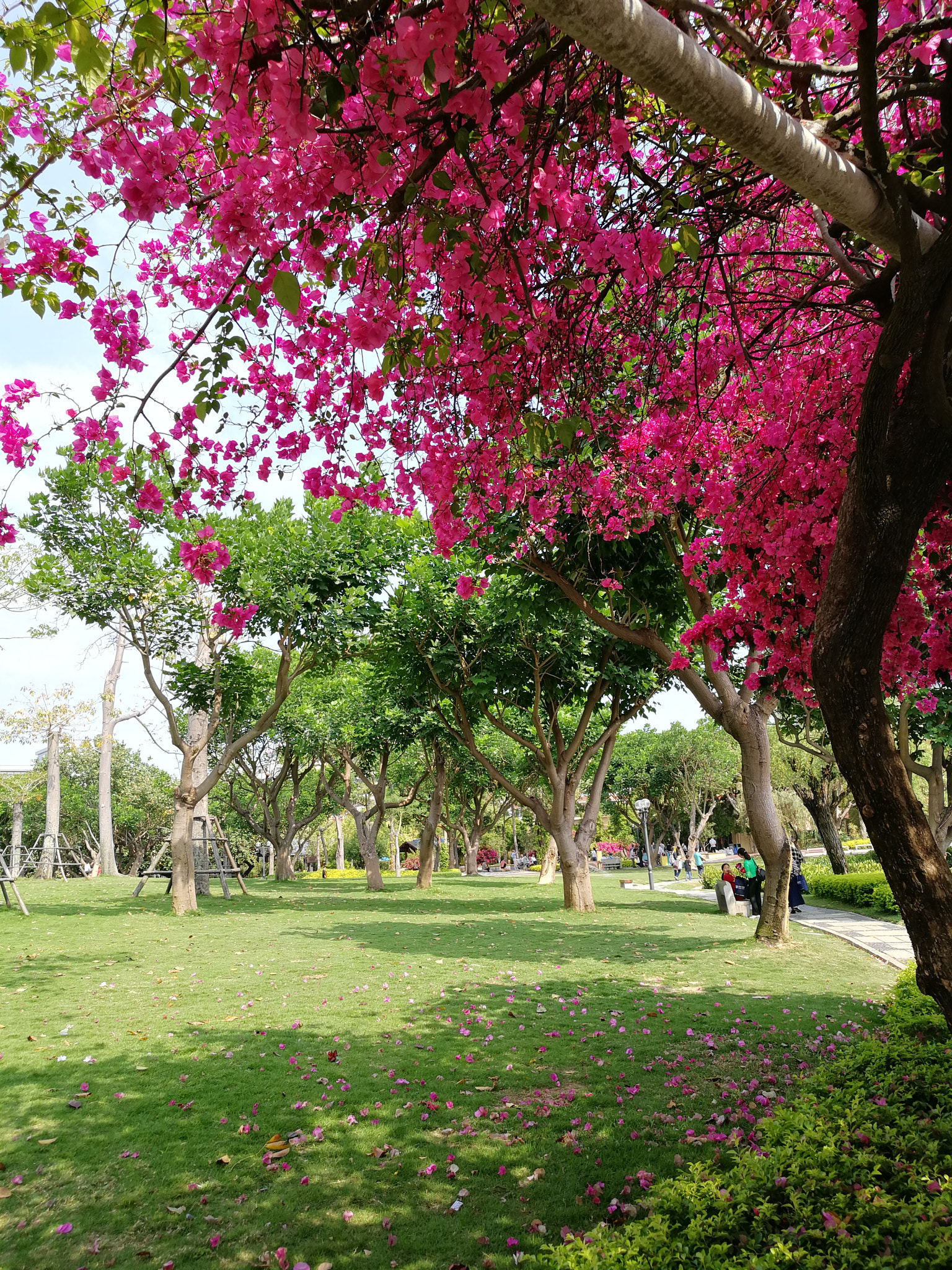 HUAWEI Honor V9 sample photo