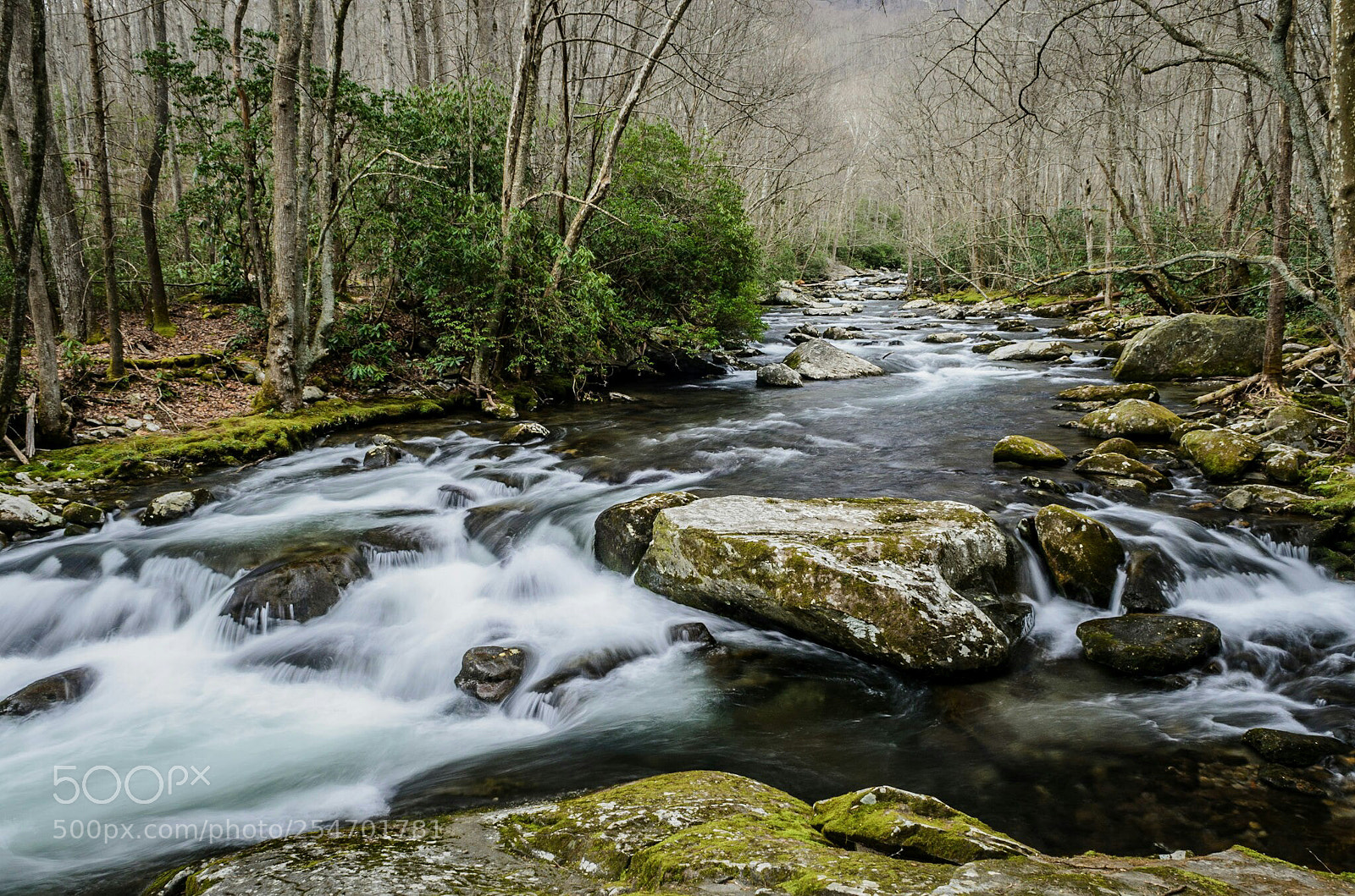 Nikon D7000 sample photo. I know your people photography