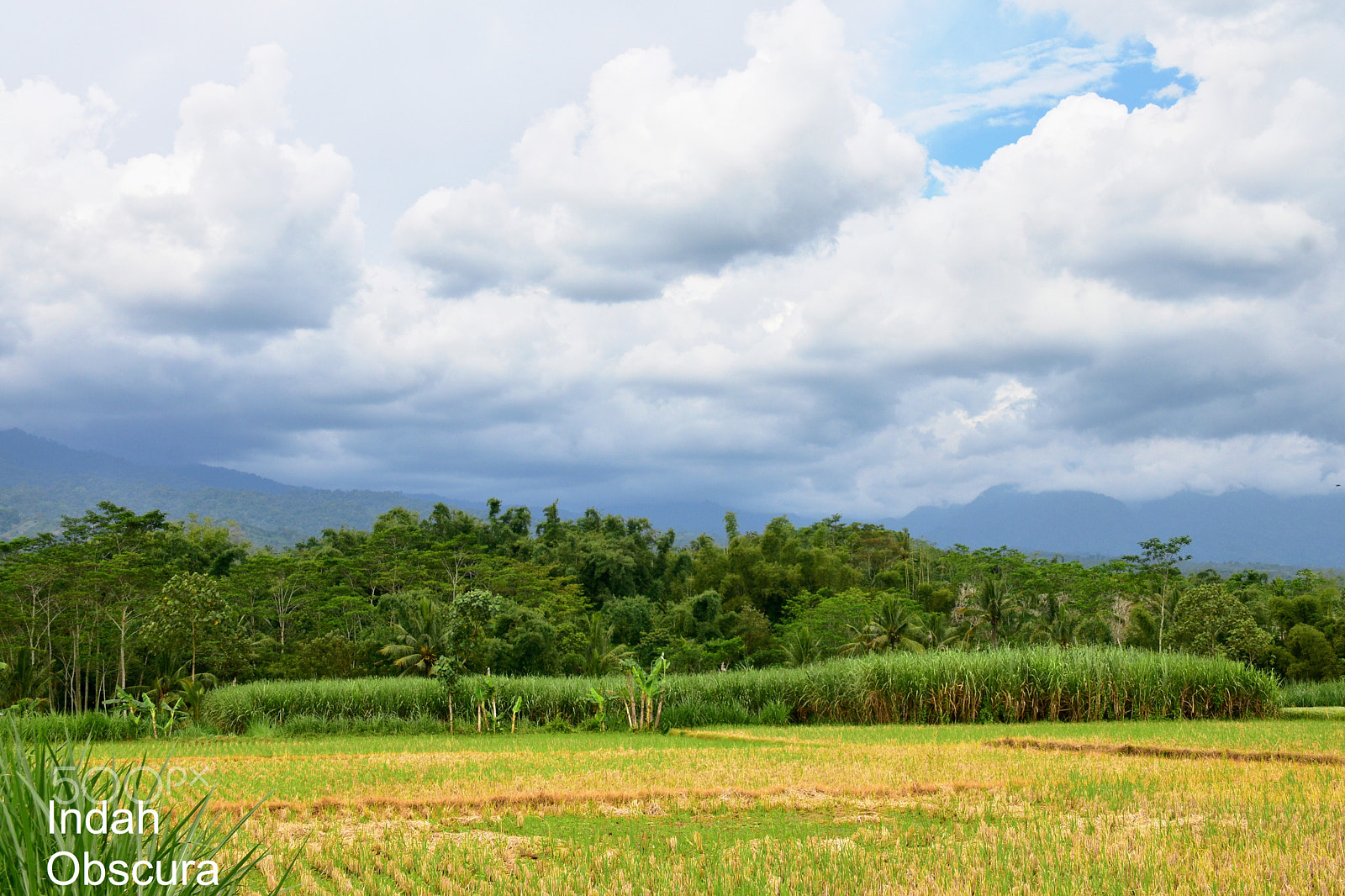 Nikon D5500 sample photo. Ioi rural vista photography