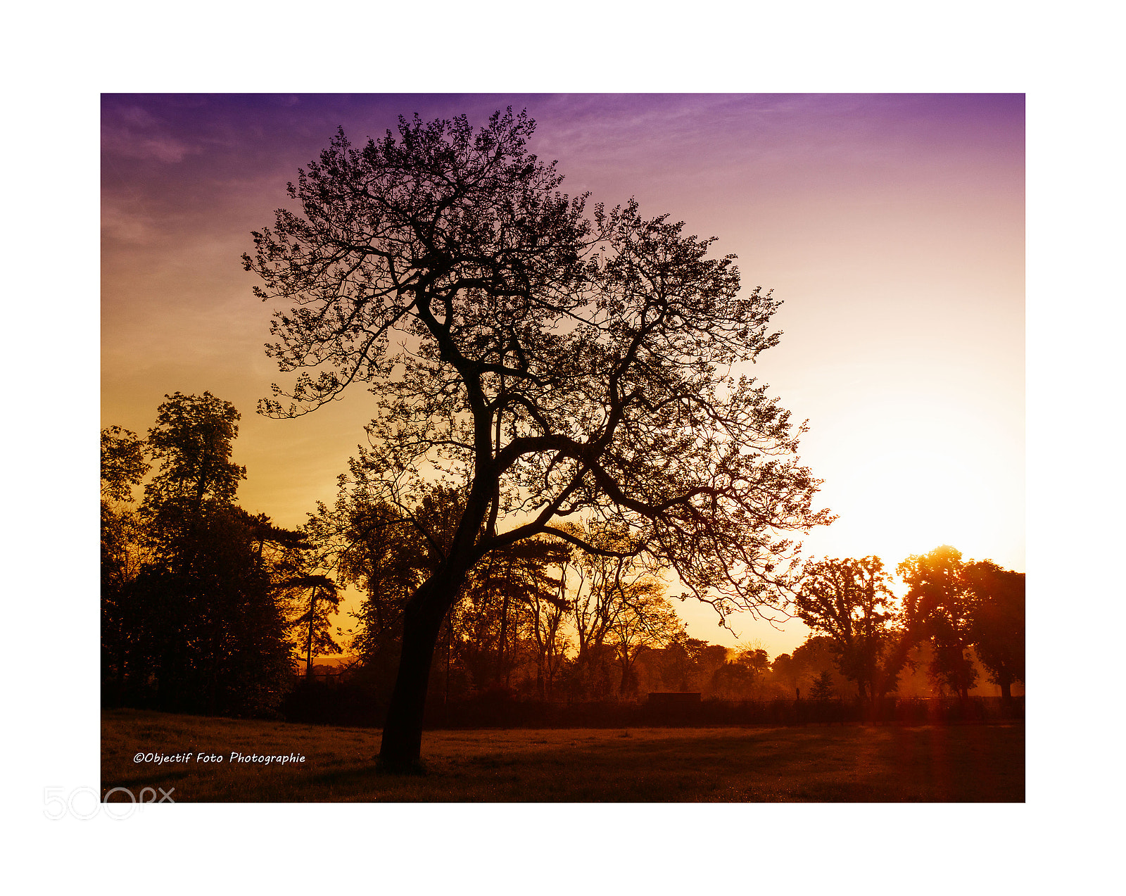 Panasonic Lumix DMC-GX85 (Lumix DMC-GX80 / Lumix DMC-GX7 Mark II) sample photo. Au bois de vincennes photography