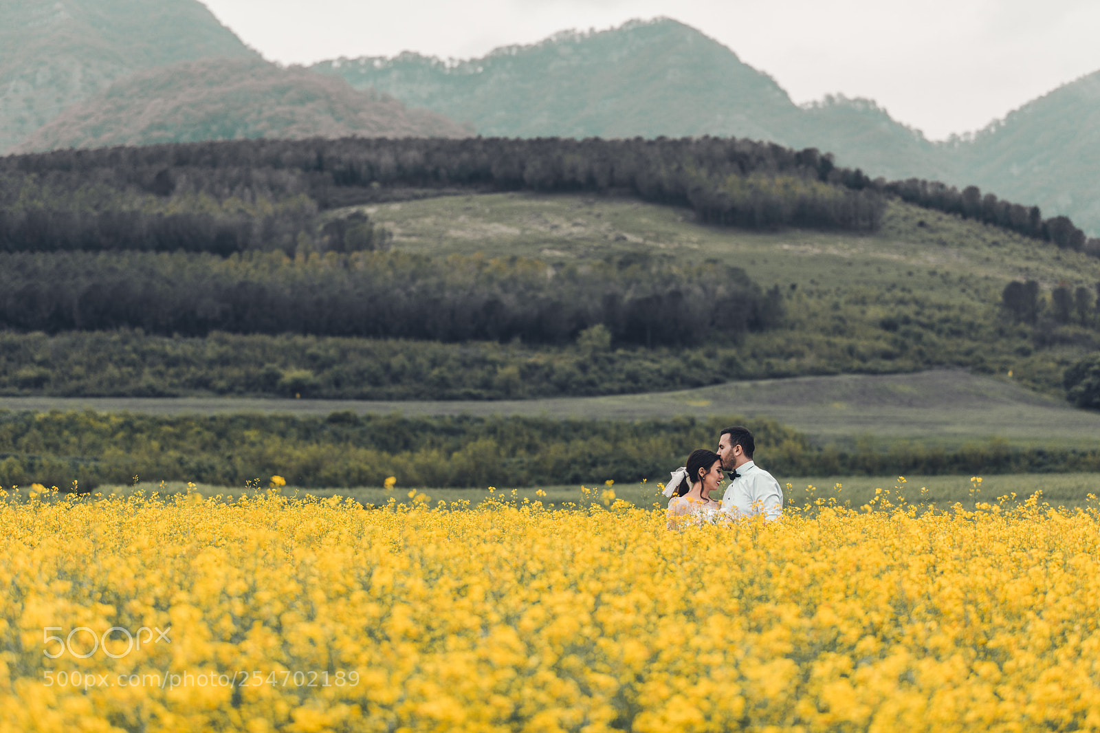 Canon EOS 5D Mark IV sample photo. Untitled photography